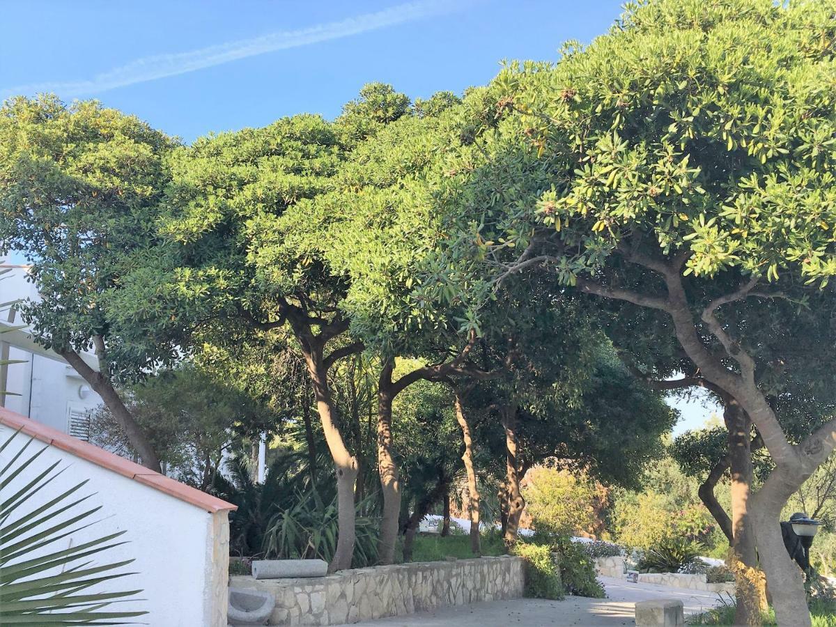 Maison Marie Vieste Dış mekan fotoğraf